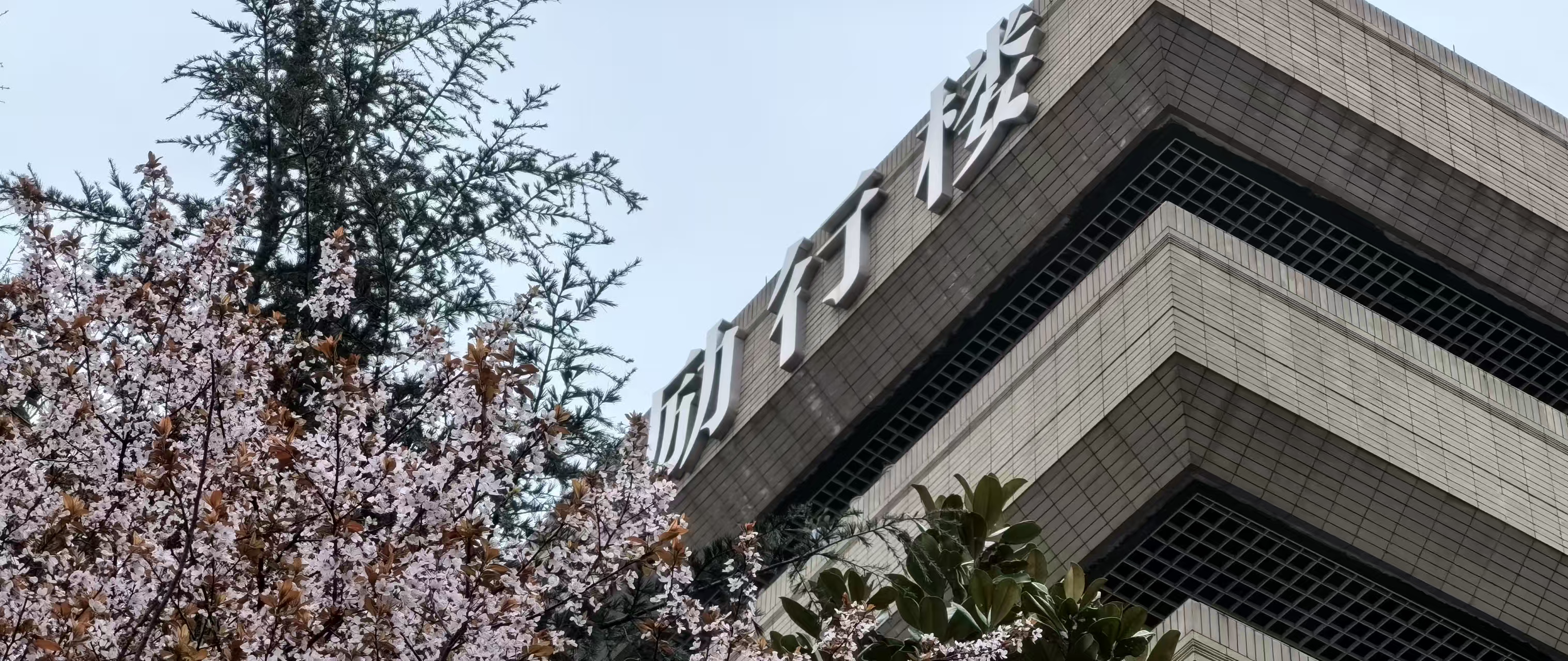 轮播图 1